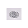 1.57 ct Oval Lab-Grown Diamond – D VVS1 – Faceted Cut – IGI Certified — Sapphire Row