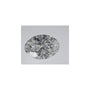 1.35 ct Oval Lab-Grown Diamond – E VVS2 – Faceted Cut – IGI Certified — Sapphire Row