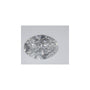 1.39 ct Oval Lab-Grown Diamond – D VVS2 – Faceted Cut – IGI Certified — Sapphire Row