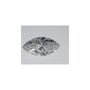 1.00 ct Marquise Lab-Grown Diamond – E VVS2 – Faceted Cut – IGI Certified — Sapphire Row