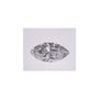 1.02 ct Marquise Lab-Grown Diamond – E VVS2 – Faceted Cut – IGI Certified — Sapphire Row