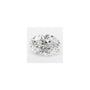 1.59 ct Oval Lab-Grown Diamond – E VS1 – Faceted Cut – GCAL Certified — Sapphire Row