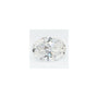 1.07 ct Oval Lab-Grown Diamond – F VVS2 – Faceted Cut – GCAL Certified — Sapphire Row