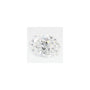 1.23 ct Oval Lab-Grown Diamond – D VVS2 – Faceted Cut – GCAL Certified — Sapphire Row