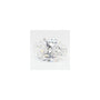 1.00 ct Oval Lab-Grown Diamond – D VVS2 – Faceted Cut – GCAL Certified — Sapphire Row