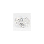 0.79 ct Oval Lab-Grown Diamond – E VS1 – Faceted Cut – GCAL Certified — Sapphire Row