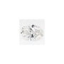 0.91 ct Oval Lab-Grown Diamond – E VS2 – Faceted Cut – GCAL Certified — Sapphire Row