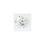 2.22 ct Oval Lab-Grown Diamond – E VS1 – Faceted Cut – GCAL Certified — Sapphire Row