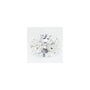 1.84 ct Oval Lab-Grown Diamond – D VVS2 – Faceted Cut – GCAL Certified — Sapphire Row