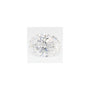 2.32 ct Oval Lab-Grown Diamond – D VS1 – Faceted Cut – GCAL Certified — Sapphire Row