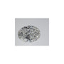 2.00 ct Oval Natural Diamond – I SI1 – Faceted Cut – GIA Certified — Sapphire Row