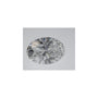 2.59 ct Oval Lab-Grown Diamond – D VVS2 – Faceted Cut – IGI Certified — Sapphire Row