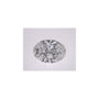 3.05 ct Oval Lab-Grown Diamond – D VS1 – Faceted Cut – IGI Certified — Sapphire Row