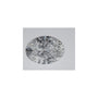 2.02 ct Oval Lab-Grown Diamond – D VVS1 – Faceted Cut – IGI Certified — Sapphire Row