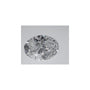 2.30 ct Oval Lab-Grown Diamond – D VVS2 – Faceted Cut – IGI Certified — Sapphire Row