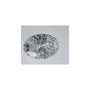 2.28 ct Oval Lab-Grown Diamond – D VVS2 – Faceted Cut – IGI Certified — Sapphire Row
