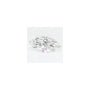 1.03 ct Marquise Lab-Grown Diamond – E VVS2 – Faceted Cut – GCAL Certified — Sapphire Row