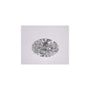 2.08 ct Oval Lab-Grown Diamond – D VVS2 – Faceted Cut – IGI Certified — Sapphire Row