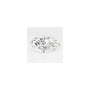 2.59 ct Marquise Lab-Grown Diamond – E VVS2 – Faceted Cut – GCAL Certified — Sapphire Row