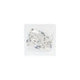 2.56 ct Radiant Lab-Grown Diamond – F VVS2 – Faceted Cut – GCAL Certified — Sapphire Row