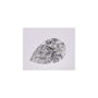 1.50 ct Pear Natural Diamond – D SI1 – Faceted Cut – GIA Certified — Sapphire Row