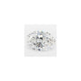 1.77 ct Oval Lab-Grown Diamond – D VVS2 – Faceted Cut – GCAL Certified — Sapphire Row