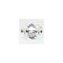 1.20 ct Elongated Cushion Lab-Grown Diamond – E VVS2 – Old Mine Cut – GCAL Certified — Sapphire Row