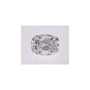 1.57 ct Elongated Cushion Lab-Grown Diamond – E VVS2 – Old Mine Cut – IGI Certified — Sapphire Row