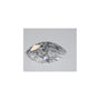 1.01 ct Marquise Natural Diamond – E SI2 – Faceted Cut – GIA Certified — Sapphire Row