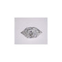 2.10 ct Elongated Hexagon Lab-Grown Diamond – E VVS2 – Duchess Faceted-cut – IGI Certified — Sapphire Row