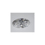 2.24 ct Elongated Oval Lab-Grown Diamond – D VVS2 – Faceted Cut – IGI Certified — Sapphire Row