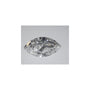 2.35 ct Marquise Lab-Grown Diamond – E VVS2 – Faceted Cut – IGI Certified — Sapphire Row