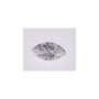 0.74 ct Marquise Lab-Grown Diamond – D VVS1 – Faceted Cut – IGI Certified — Sapphire Row
