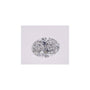 0.50 ct Oval Natural Diamond – D SI1 – Faceted Cut – GIA Certified — Sapphire Row