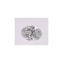 0.47 ct Oval Natural Diamond – G VS1 – Faceted Cut – GIA Certified — Sapphire Row