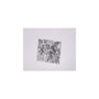 3.58 ct Square Lab-Grown Diamond – D VVS2 – Princess-cut – IGI Certified — Sapphire Row