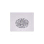 1.07 ct Oval Lab-Grown Diamond – D VS1 – Faceted Cut – IGI Certified — Sapphire Row