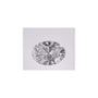 1.41 ct Oval Lab-Grown Diamond – D VS1 – Faceted Cut – IGI Certified — Sapphire Row