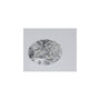 0.57 ct Oval Lab-Grown Diamond – D VVS2 – Faceted Cut – IGI Certified — Sapphire Row