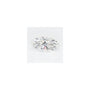 2.06 ct Marquise Lab-Grown Diamond – E VVS2 – Faceted Cut – GCAL Certified — Sapphire Row