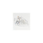 2.58 ct Pear Lab-Grown Diamond – D VVS1 – Faceted Cut – GCAL Certified — Sapphire Row