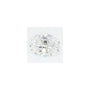 1.31 ct Oval Lab-Grown Diamond – D VVS1 – Faceted Cut – GCAL Certified — Sapphire Row