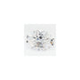 1.44 ct Oval Lab-Grown Diamond – D VVS2 – Faceted Cut – GCAL Certified — Sapphire Row