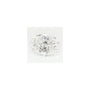 1.30 ct Oval Lab-Grown Diamond – E VVS1 – Faceted Cut – GCAL Certified — Sapphire Row