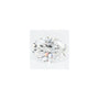 1.35 ct Oval Lab-Grown Diamond – D VVS2 – Faceted Cut – GCAL Certified — Sapphire Row