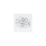 1.52 ct Oval Lab-Grown Diamond – D VVS2 – Faceted Cut – GCAL Certified — Sapphire Row