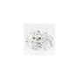 1.42 ct Oval Lab-Grown Diamond – D VVS1 – Faceted Cut – GCAL Certified — Sapphire Row