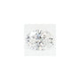 1.53 ct Oval Lab-Grown Diamond – D VVS2 – Faceted Cut – GCAL Certified — Sapphire Row