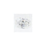 1.24 ct Oval Lab-Grown Diamond – D VVS2 – Faceted Cut – GCAL Certified — Sapphire Row