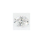 1.24 ct Oval Lab-Grown Diamond – D VVS1 – Faceted Cut – GCAL Certified — Sapphire Row